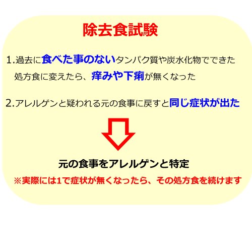 コラム 渡辺動物病院 静岡県島田市