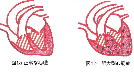 コラム-渡辺動物病院(静岡県島田市)